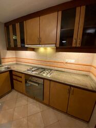 Cavenagh Lodge (D9), Apartment #622784611